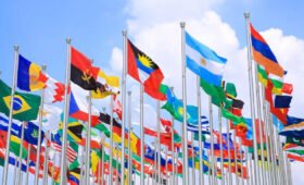 Why Are Countries Building New Global Networks?